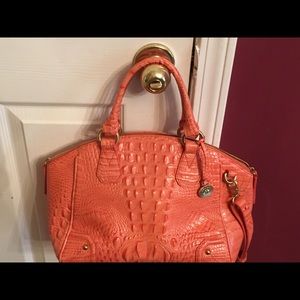 Brahmin purse